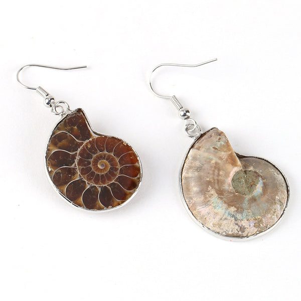 Ammonite Dangle Earrings